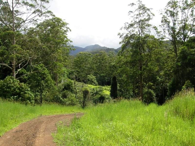 Horseshoe Creek Road, Kyogle NSW 2474