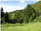 Horseshoe Creek Road, Kyogle NSW 2474