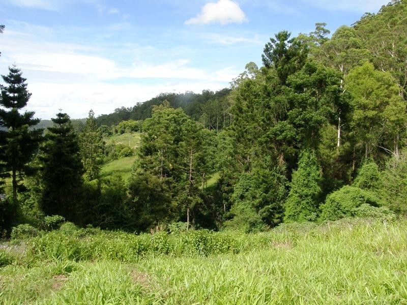 Horseshoe Creek Road, Kyogle NSW 2474