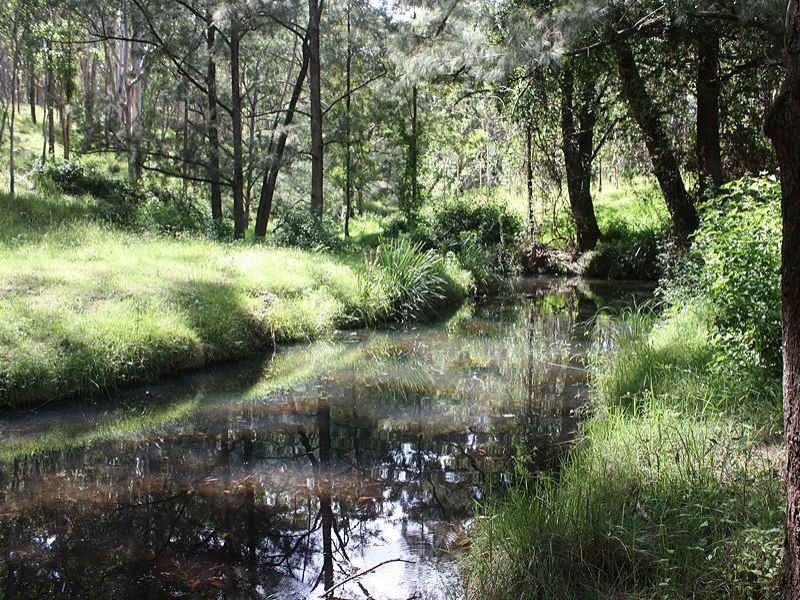 Paddys Flat Road, Kyogle NSW 2474