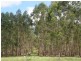 Paddys Flat Road, Kyogle NSW 2474