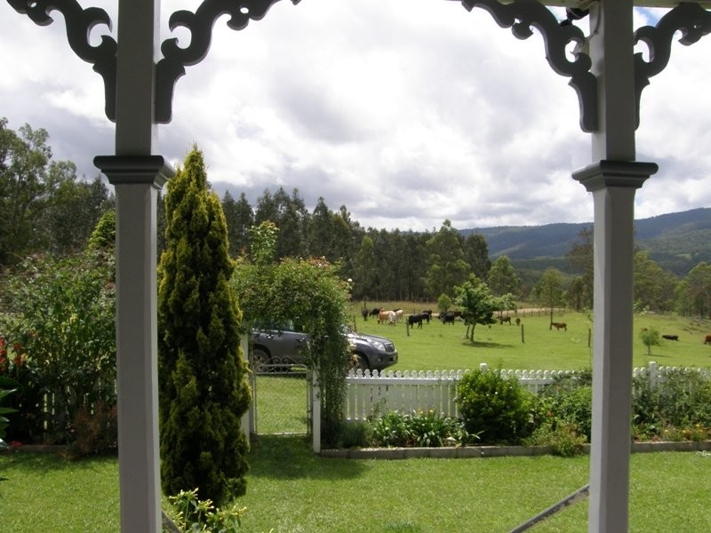 Paddys Flat Road, Kyogle NSW 2474