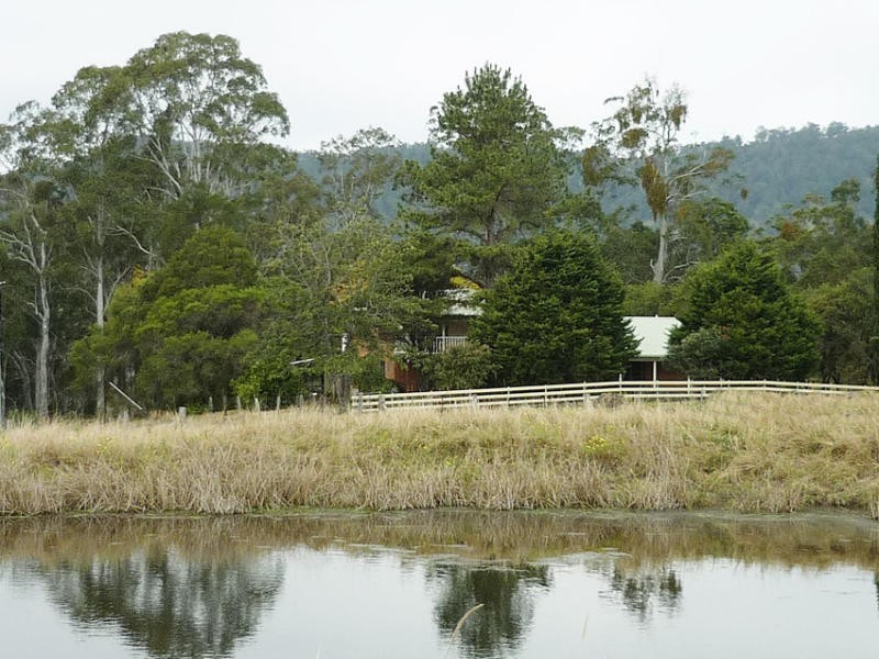 Homeleigh Road, Kyogle NSW 2474