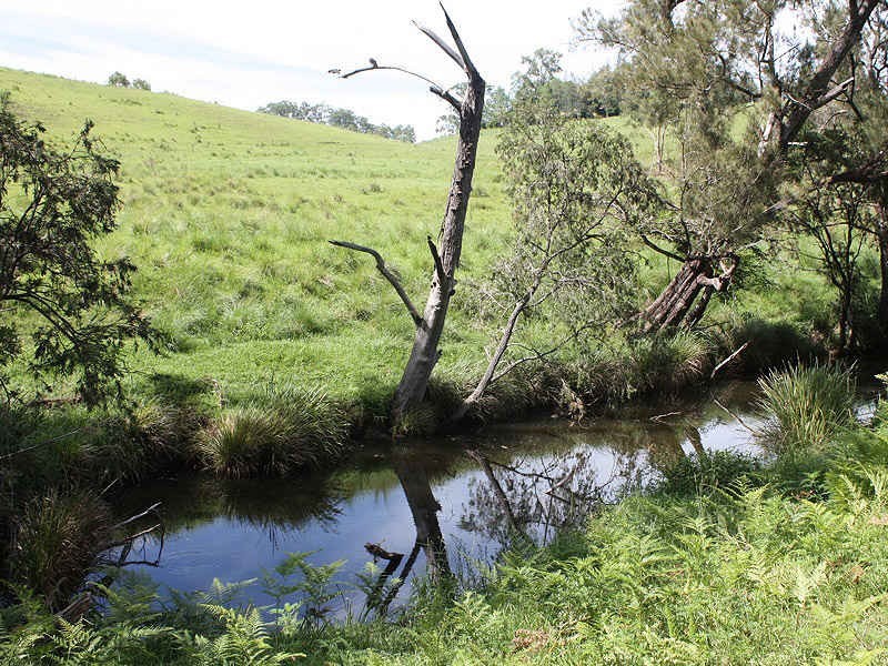 Homeleigh Road, Kyogle NSW 2474