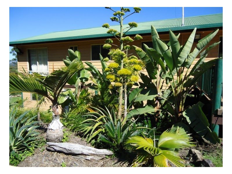 420 Lions Road Cougal, Kyogle NSW 2474