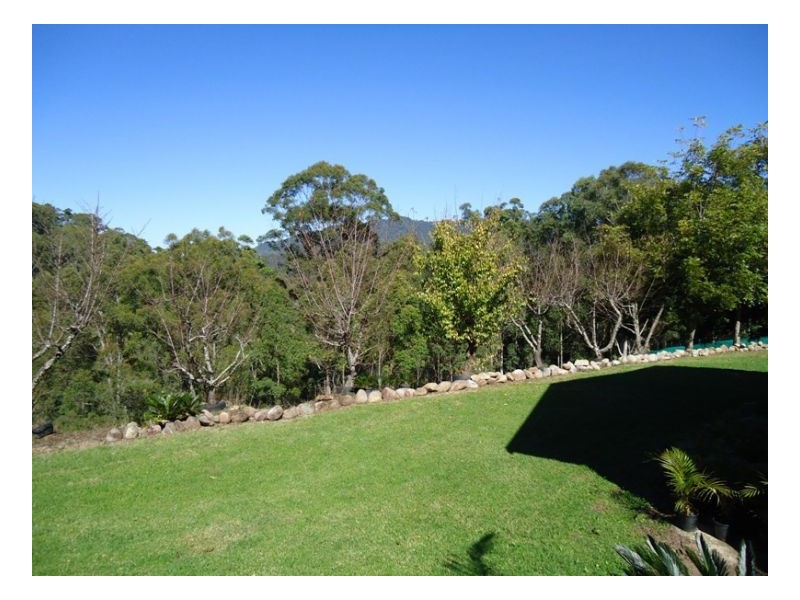 420 Lions Road Cougal, Kyogle NSW 2474