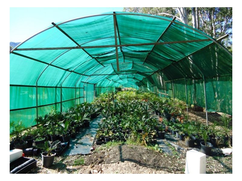 420 Lions Road Cougal, Kyogle NSW 2474