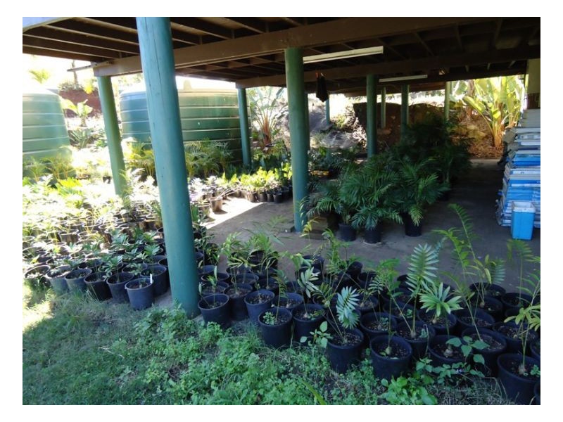 420 Lions Road Cougal, Kyogle NSW 2474