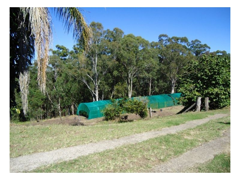 420 Lions Road Cougal, Kyogle NSW 2474
