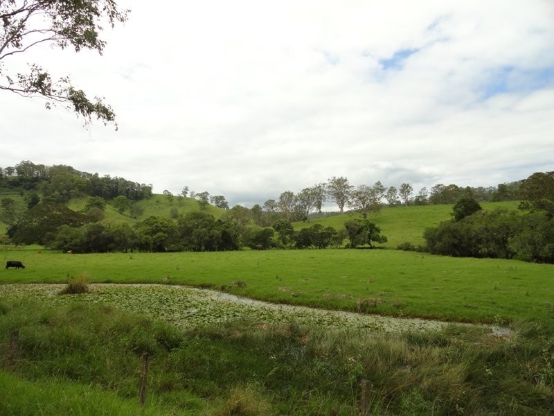 Wyndham Creek Road, Kyogle NSW 2474