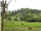 Wyndham Creek Road, Kyogle NSW 2474