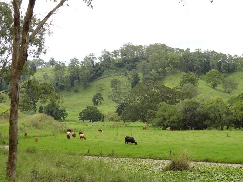 Wyndham Creek Road, Kyogle NSW 2474