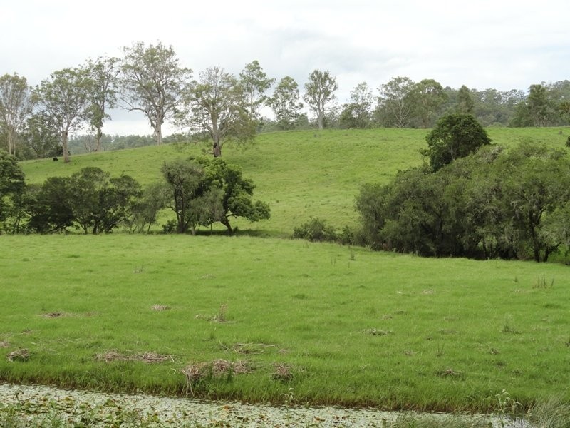 Wyndham Creek Road, Kyogle NSW 2474