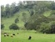 Wyndham Creek Road, Kyogle NSW 2474