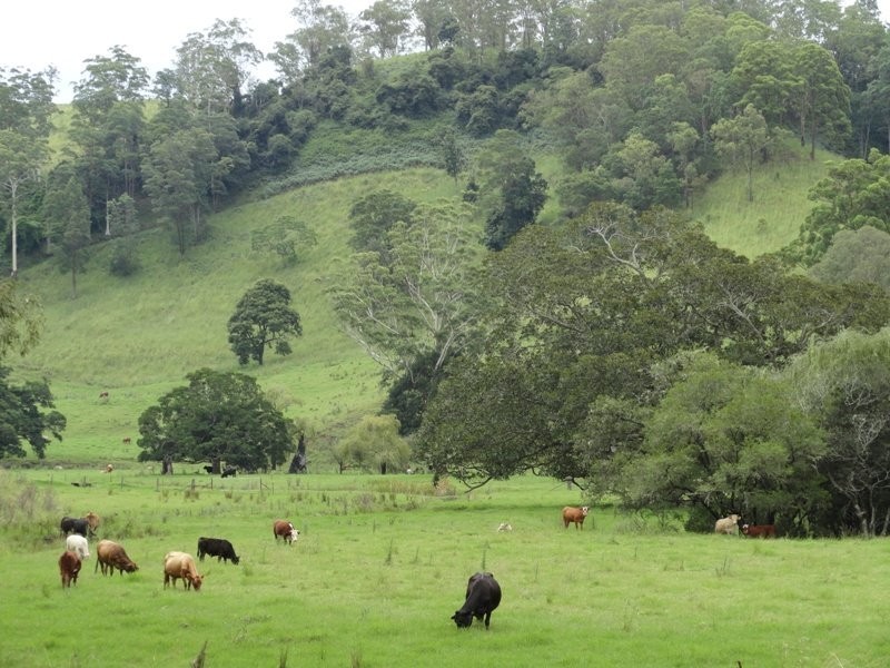 Wyndham Creek Road, Kyogle NSW 2474