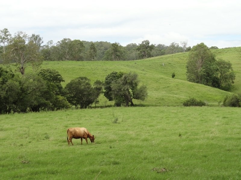 Wyndham Creek Road, Kyogle NSW 2474