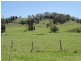 Wyndham Creek Road, Kyogle NSW 2474