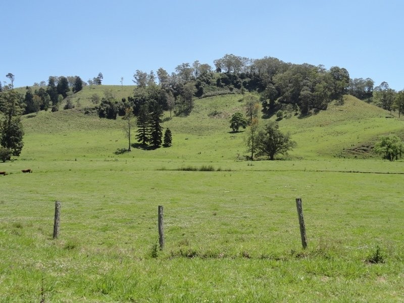 Wyndham Creek Road, Kyogle NSW 2474
