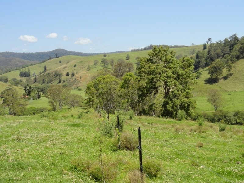 Wyndham Creek Road, Kyogle NSW 2474