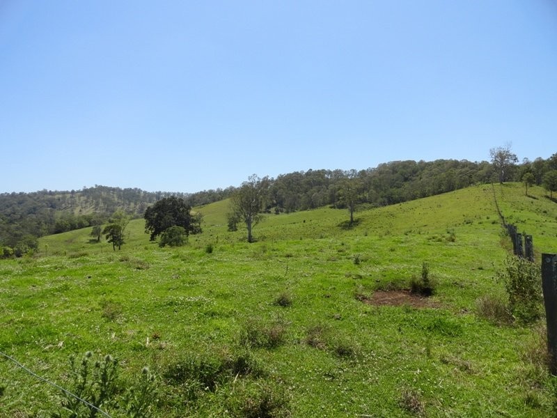 Wyndham Creek Road, Kyogle NSW 2474