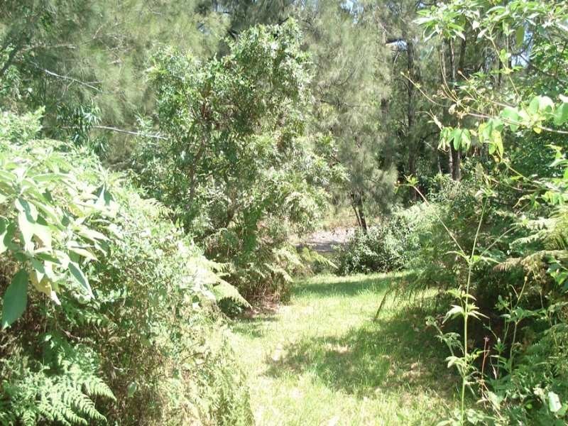Gradys Creek Road, Kyogle NSW 2474