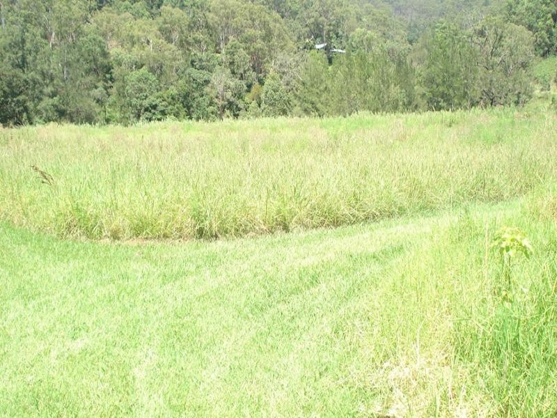 Gradys Creek Road, Kyogle NSW 2474