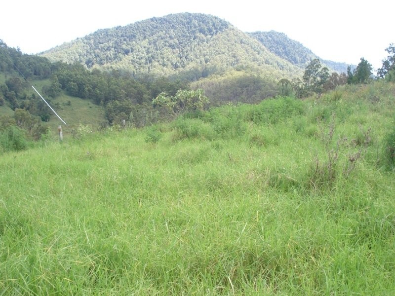 Gradys Creek Road, Kyogle NSW 2474