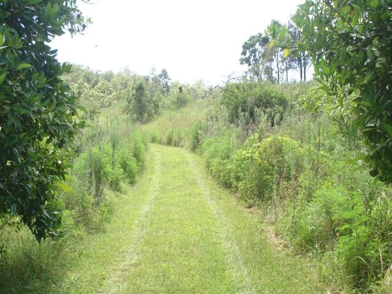 Gradys Creek Road, Kyogle NSW 2474