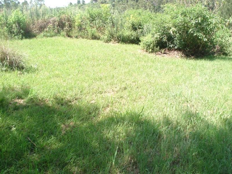 Gradys Creek Road, Kyogle NSW 2474