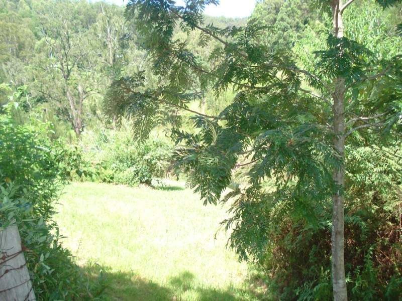 Gradys Creek Road, Kyogle NSW 2474