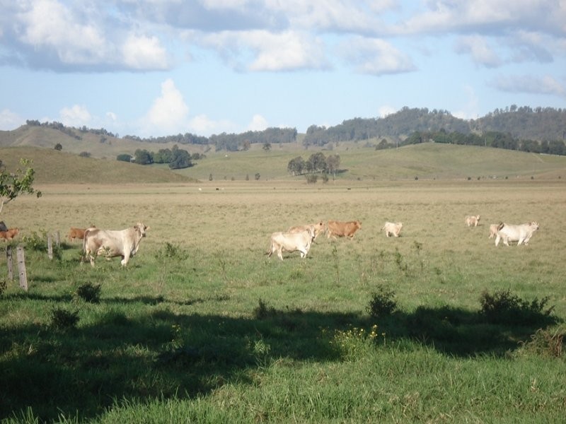 Baraimal Lane, Kyogle NSW 2474