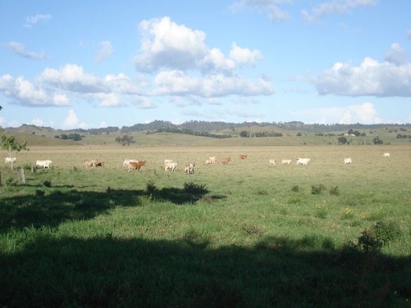 Baraimal Lane, Kyogle NSW 2474