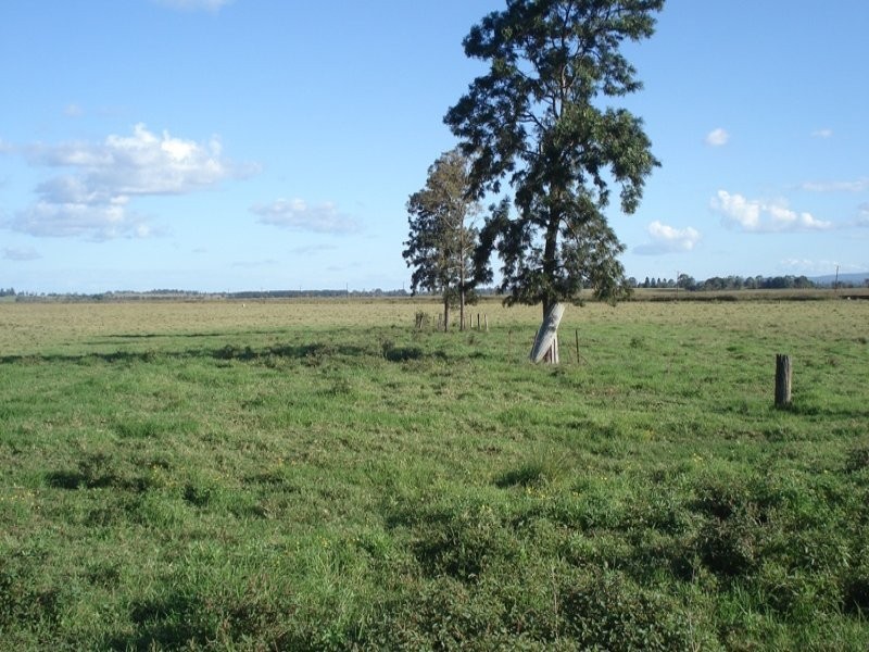 Baraimal Lane, Kyogle NSW 2474