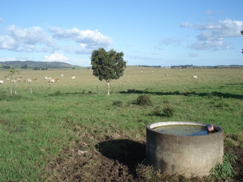 Baraimal Lane, Kyogle NSW 2474