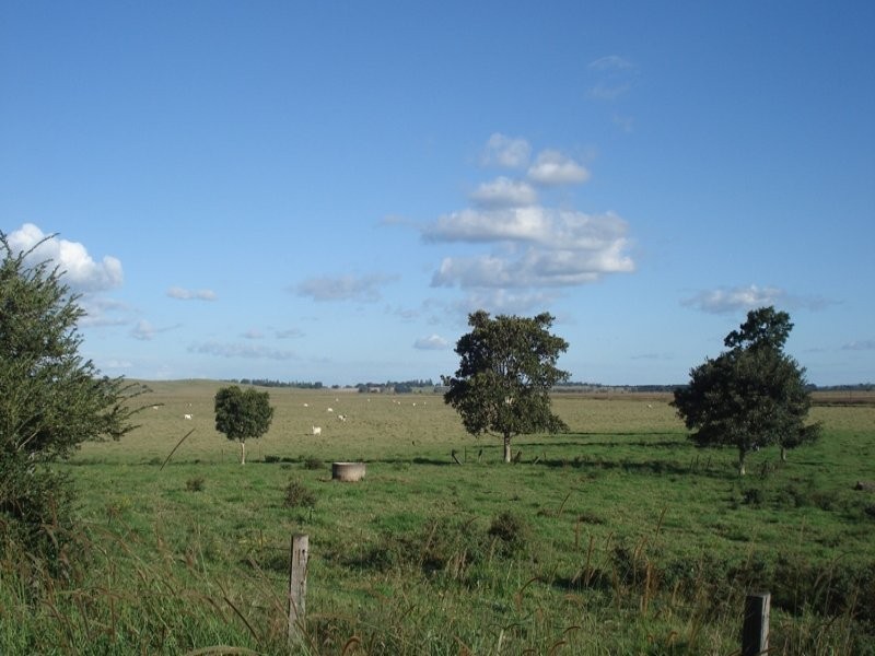 Baraimal Lane, Kyogle NSW 2474