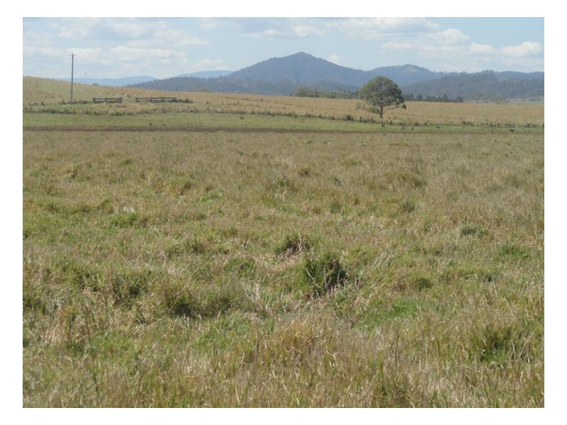 Baraimal Lane, Kyogle NSW 2474