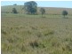 Baraimal Lane, Kyogle NSW 2474