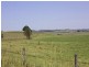 Baraimal Lane, Kyogle NSW 2474