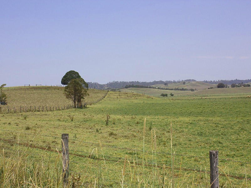 Baraimal Lane, Kyogle NSW 2474