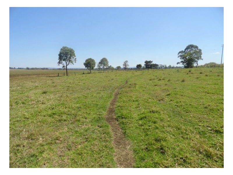 Baraimal Lane, Kyogle NSW 2474