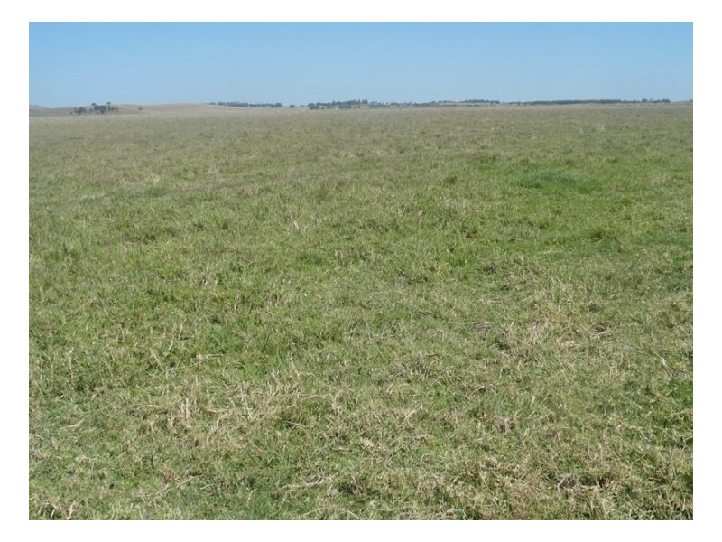 Baraimal Lane, Kyogle NSW 2474