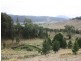 Rukenvale, Kyogle NSW 2474