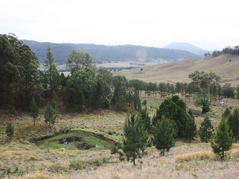 Rukenvale, Kyogle NSW 2474