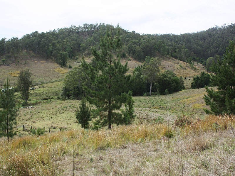Rukenvale, Kyogle NSW 2474