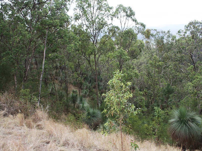 Rukenvale, Kyogle NSW 2474