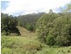 Rukenvale, Kyogle NSW 2474