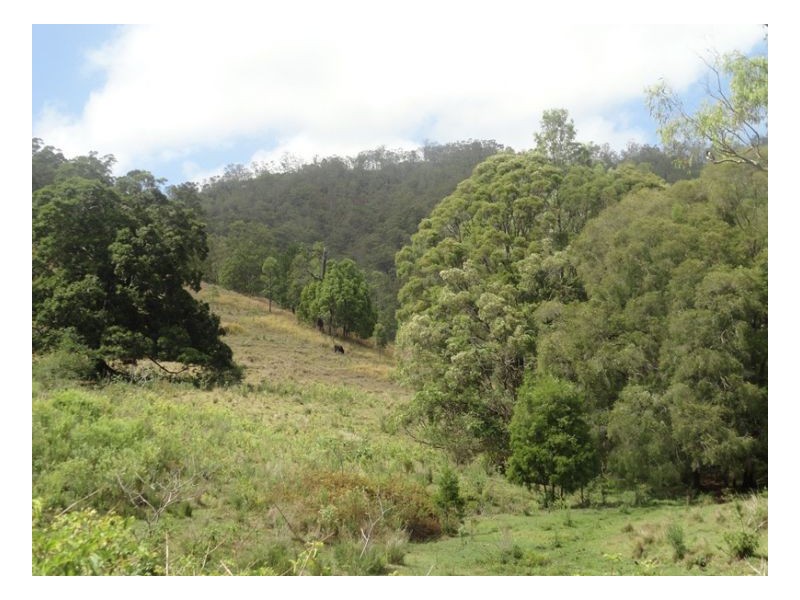 Rukenvale, Kyogle NSW 2474