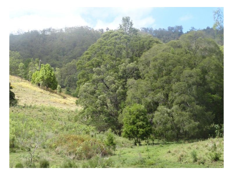 Rukenvale, Kyogle NSW 2474