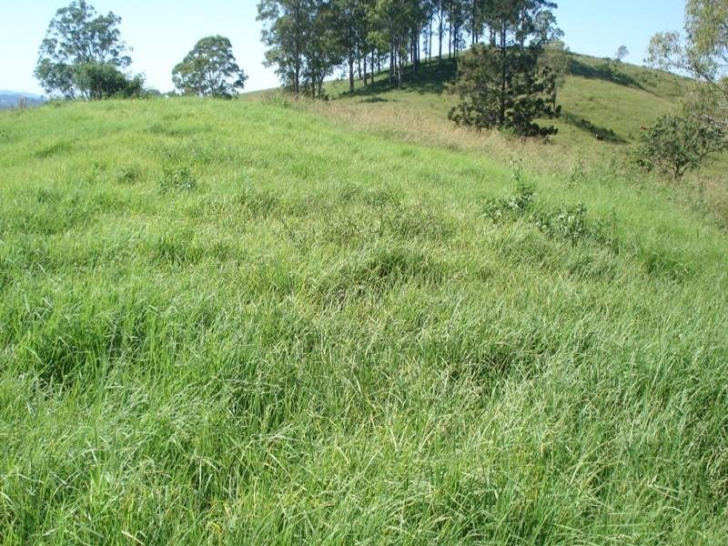 496 Iron Pot Creek Road, Kyogle NSW 2474