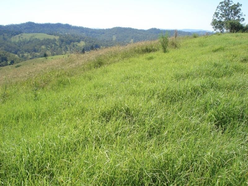 496 Iron Pot Creek Road, Kyogle NSW 2474